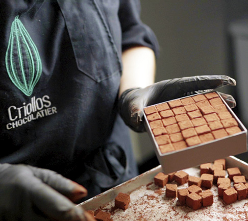 Pavés rochelais - Criollos Chocolatier