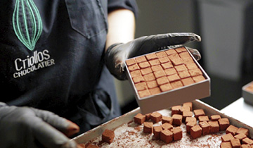 Pavés de La Rochelle par Criollos Chocolatier